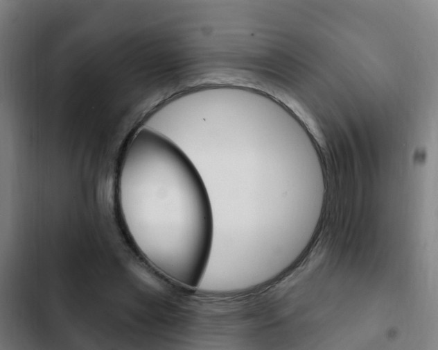 X0000103230445200808280954