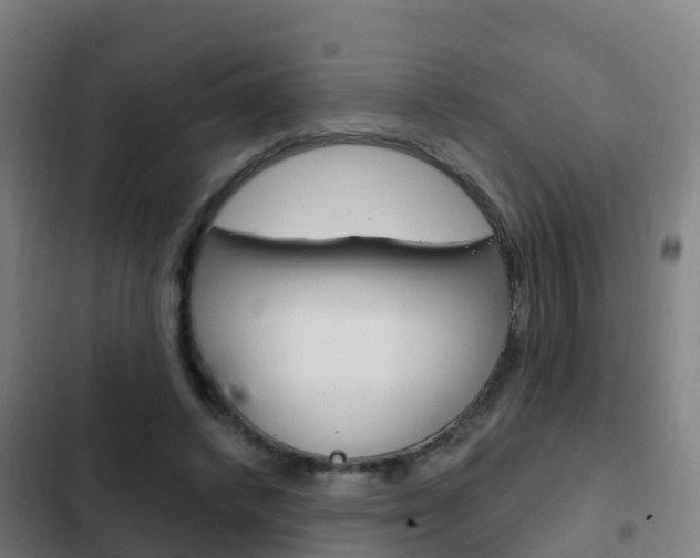 X0000103230448200808280954