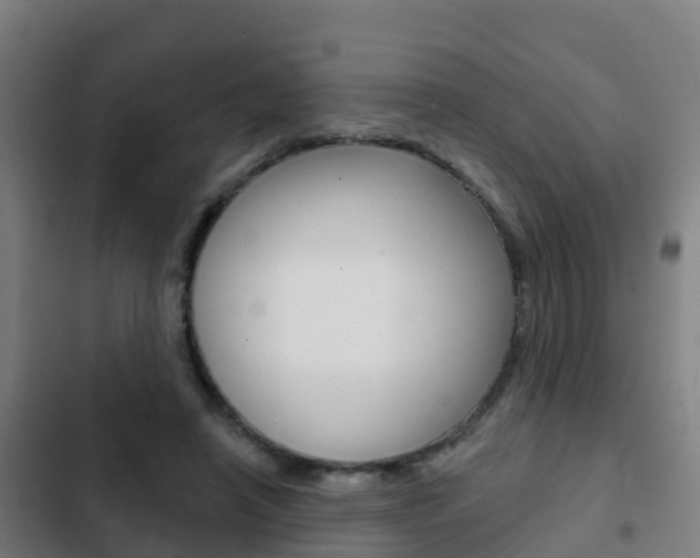 X0000103230450200808280954