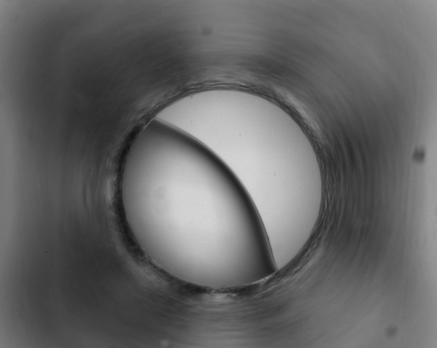 X0000103230451200808280954