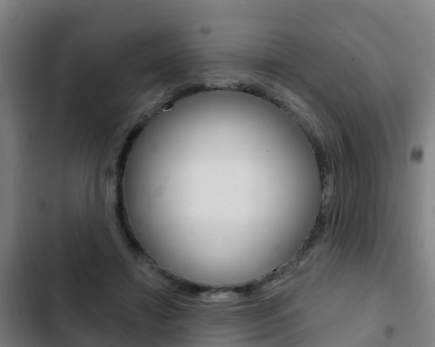 X0000103230452200808280954