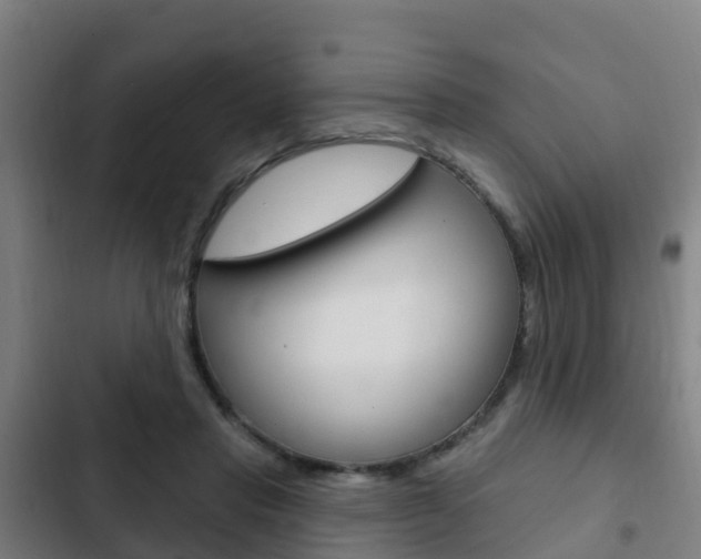 X0000103230453200808280954
