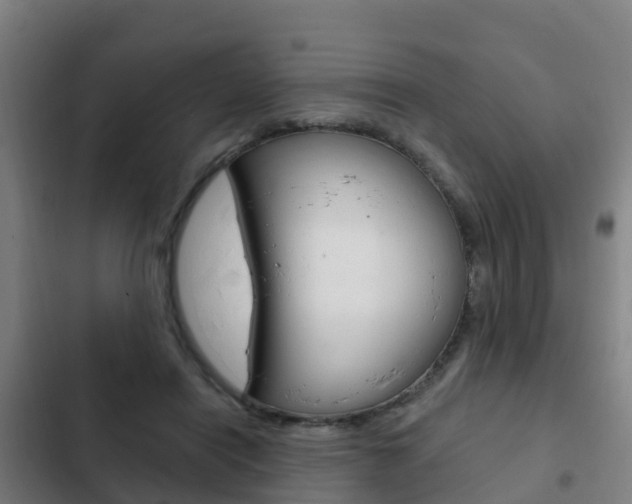 X0000103230454200808280954