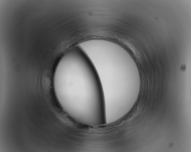 X0000103230455200808280954