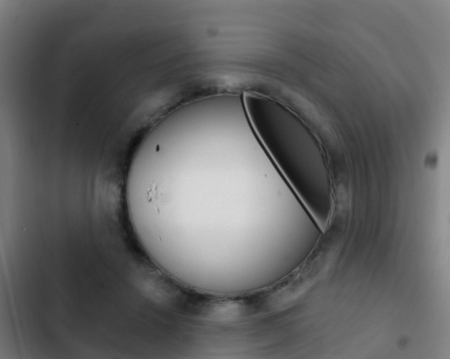 X0000103230456200808280954