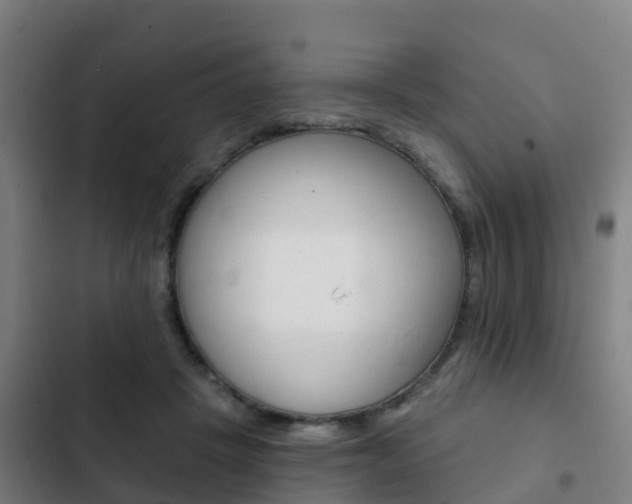 X0000103230457200808280954