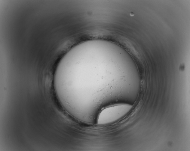 X0000103230458200808280954