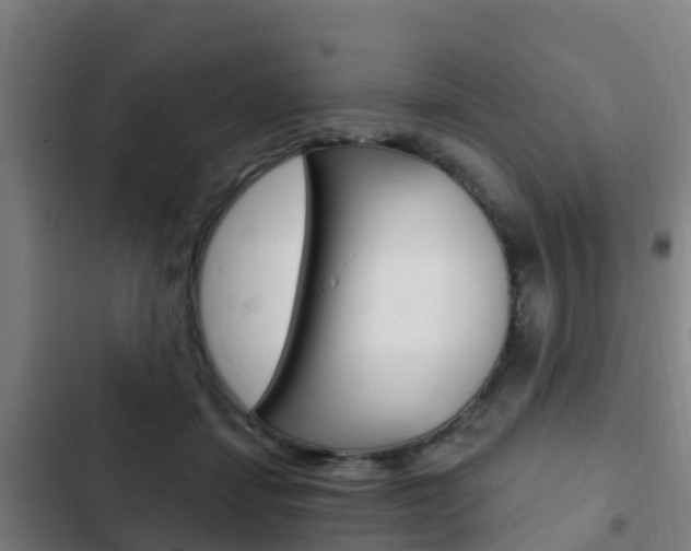 X0000103230459200808280954