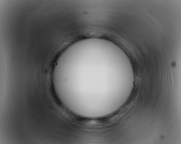 X0000103230460200808280954