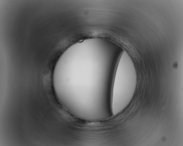 X0000103230461200808280954