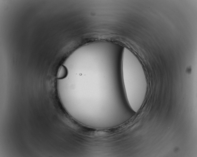 X0000103230462200808280954