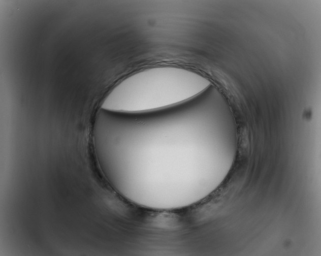 X0000103230463200808280954