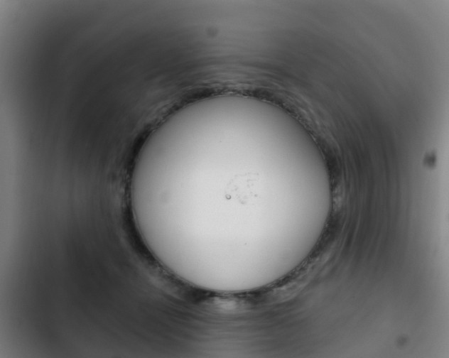 X0000103230464200808280954