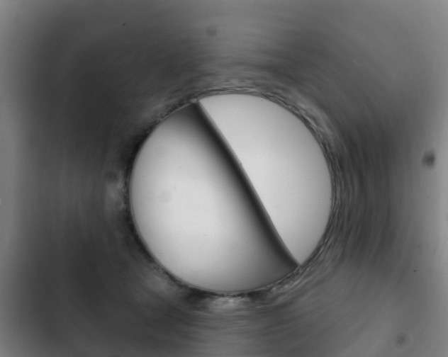 X0000103230465200808280954