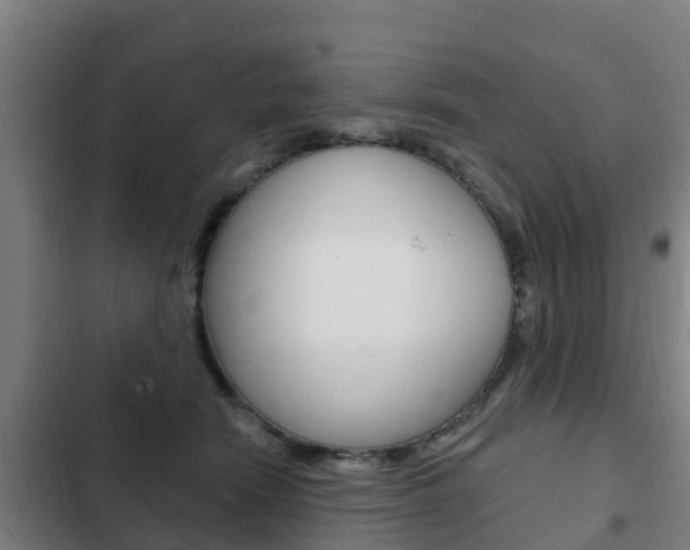 X0000103230466200808280954