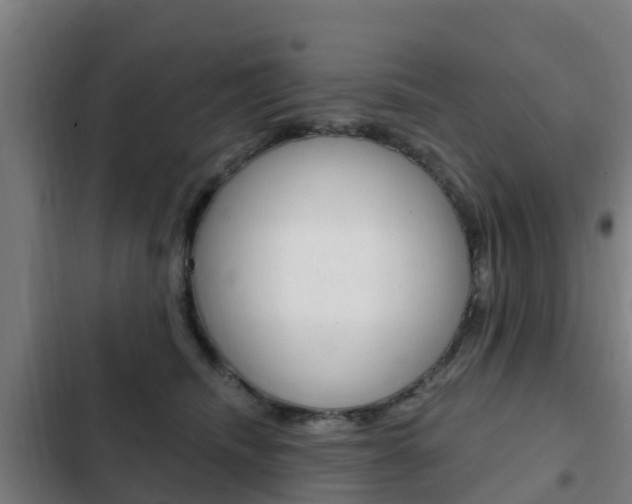 X0000103230468200808280954