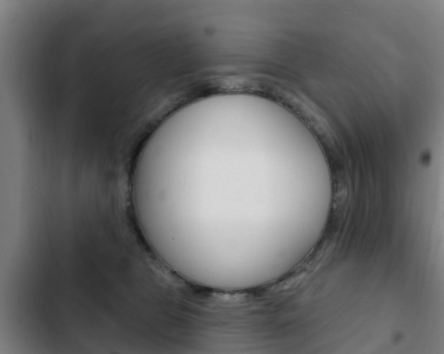 X0000103230469200808280954