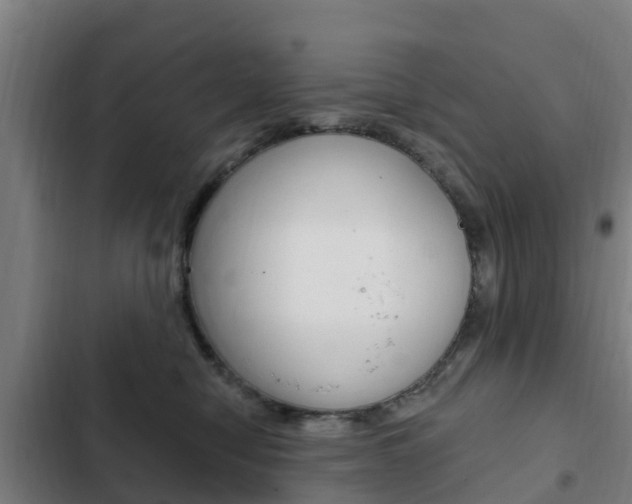 X0000103230470200808280954