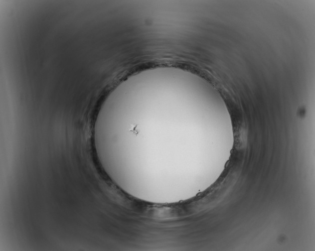 X0000103230472200808280954