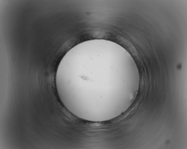 X0000103230473200808280954