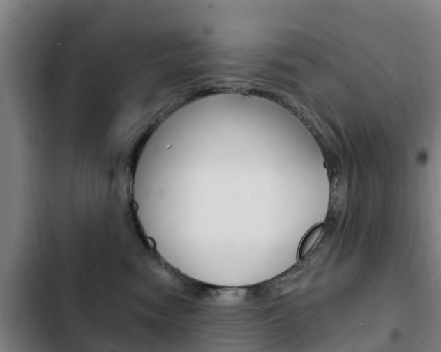 X0000103230474200808280954