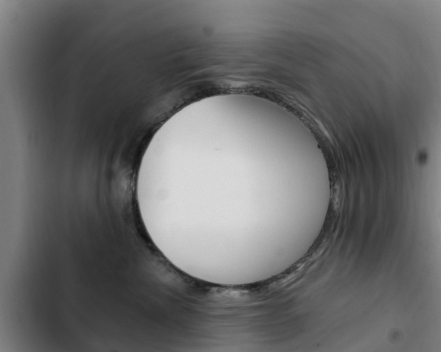 X0000103230476200808280954