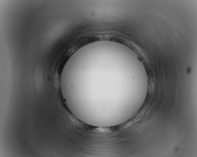X0000103230477200808280955