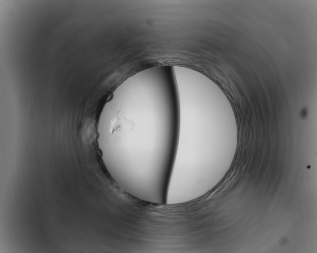 X0000103230478200808280955