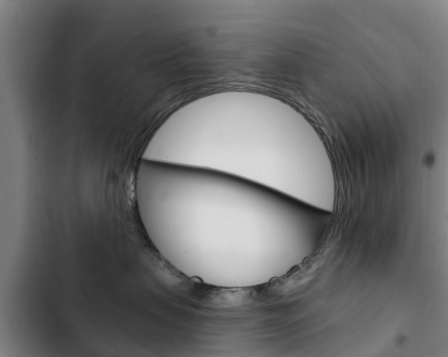 X0000103230479200808280955