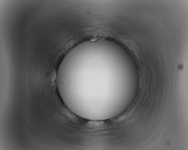 X0000103230480200808280955