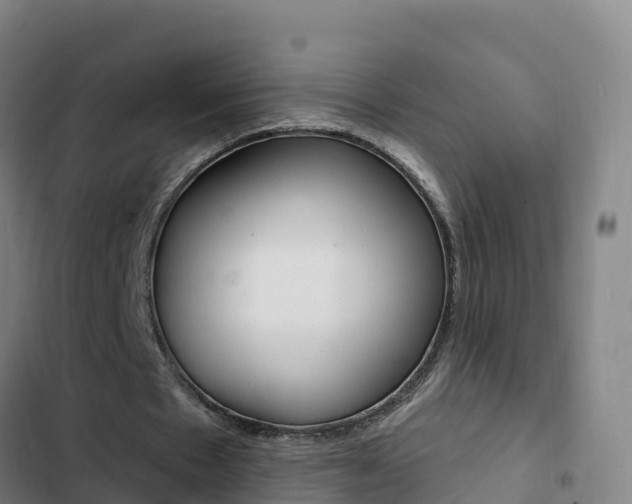 X0000103230481200808280954