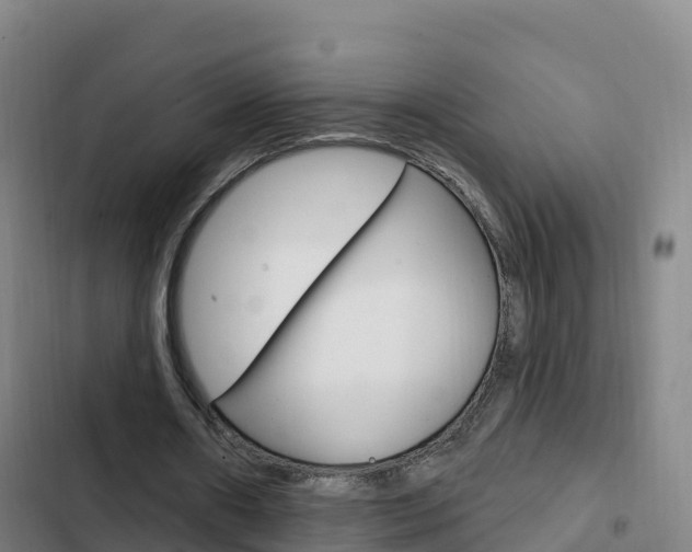 X0000103230482200808280954