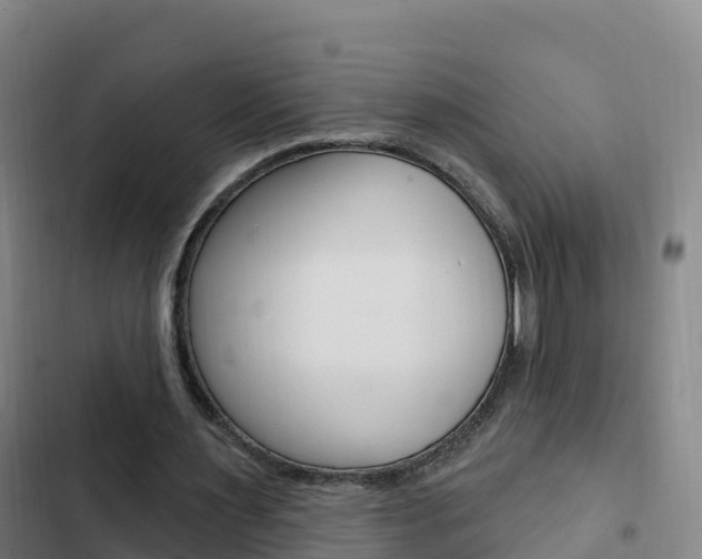 X0000103230483200808280954