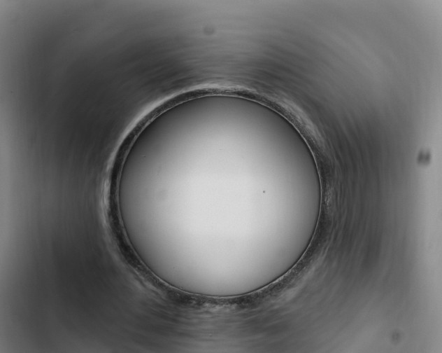 X0000103230484200808280954