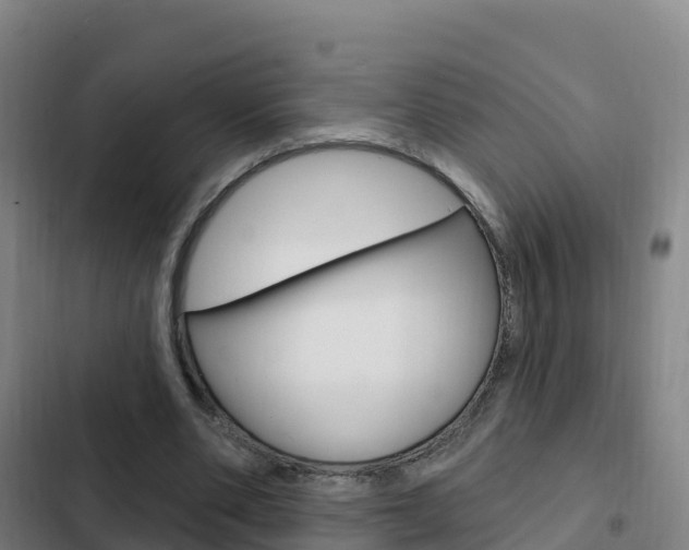 X0000103230486200808280954