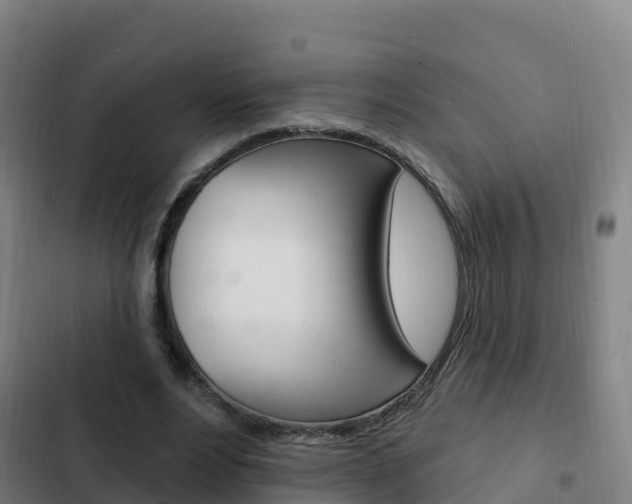 X0000103230488200808280954