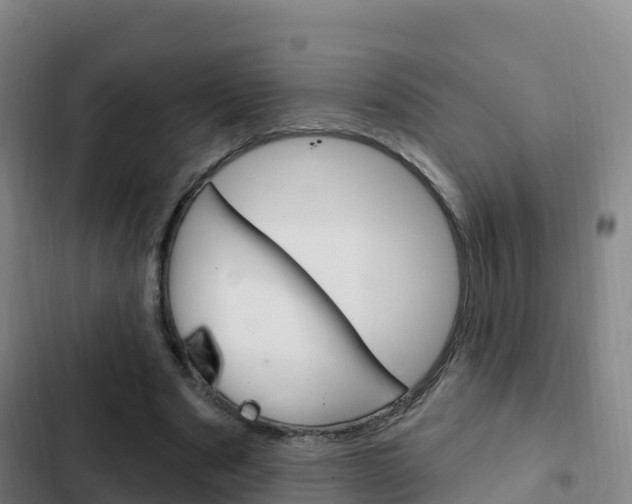 X0000103230489200808280954