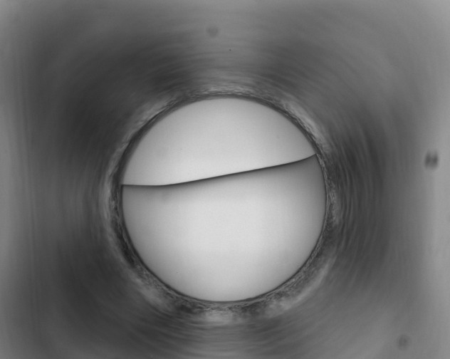 X0000103230490200808280954