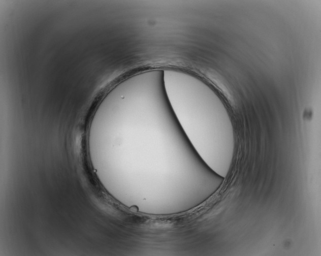 X0000103230491200808280954