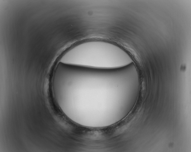 X0000103230492200808280954
