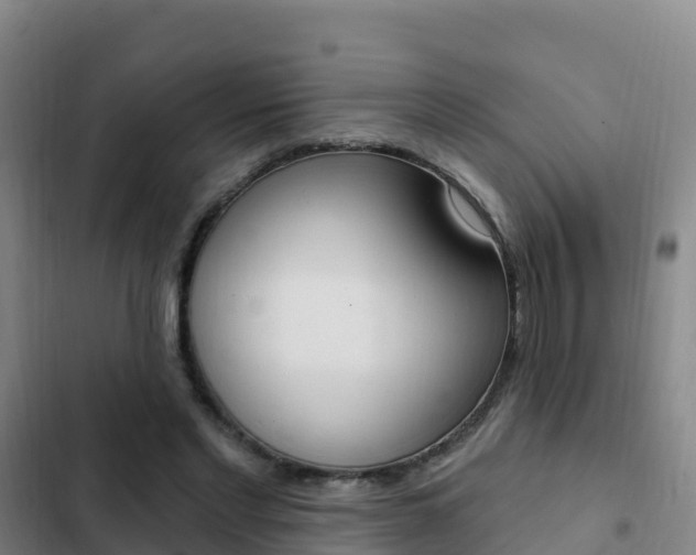 X0000103230493200808280954