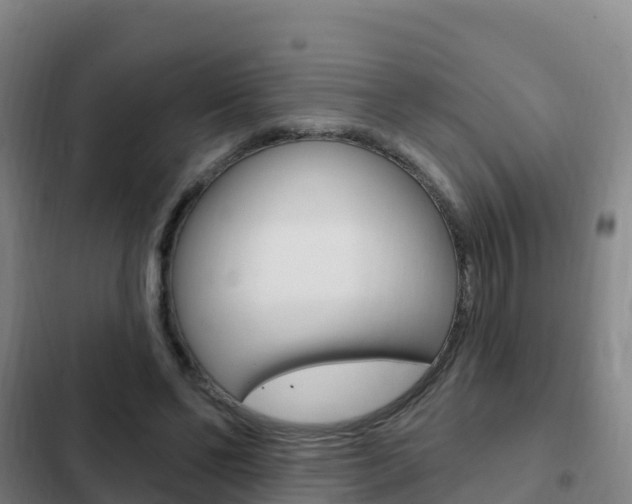 X0000103230494200808280954