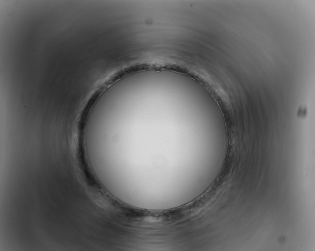 X0000103230496200808280954