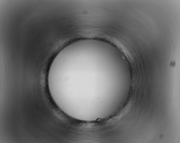 X0000103230497200808280954