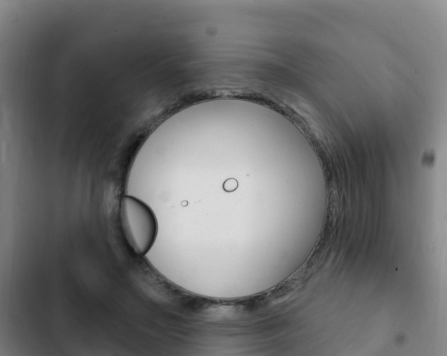 X0000103230499200808280953