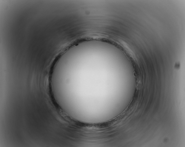 X0000103230500200808280953