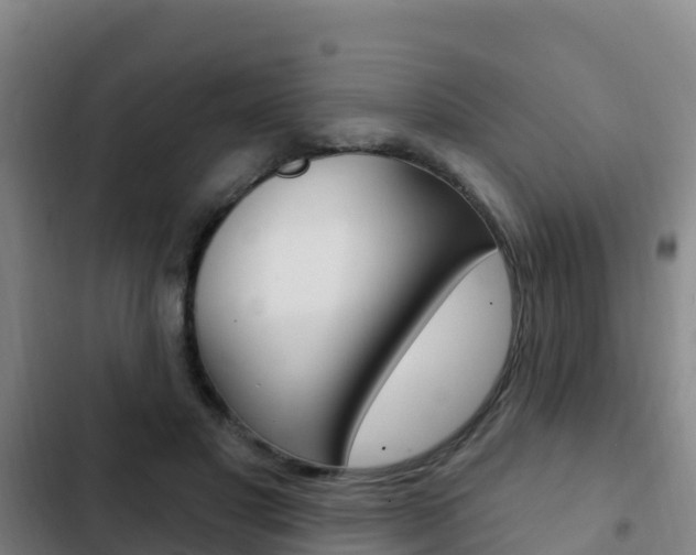 X0000103230501200808280953
