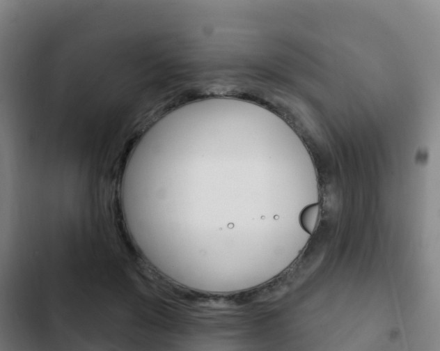 X0000103230503200808280953