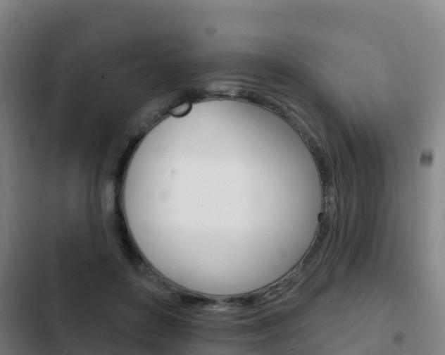 X0000103230504200808280953