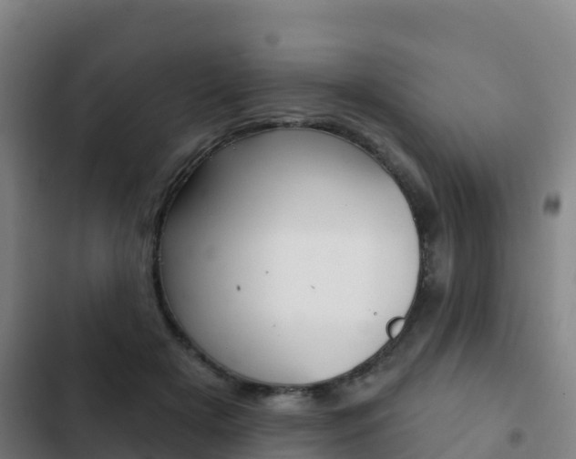X0000103230505200808280953